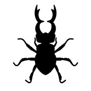 Käfer Schablonen
